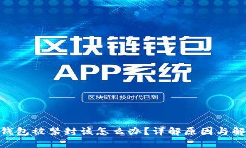 Bitpie钱包被禁封该怎么办？详解原因与解决方案