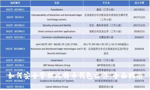 如何安全管理比特币钱包文件：全面指南