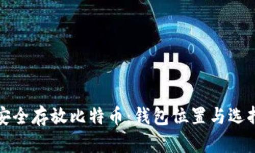 如何安全存放比特币：钱包位置与选择指南