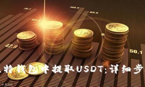 如何从比特钱包中提取USDT：详细步骤与指南