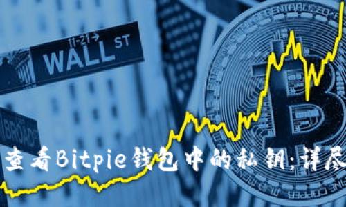 如何查看Bitpie钱包中的私钥：详尽指南