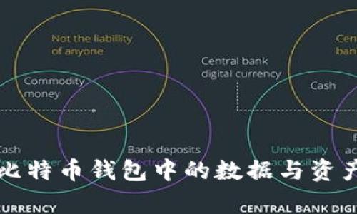 小明比特币钱包中的数据与资产分析