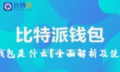 USDT钱包是什么？全面解析