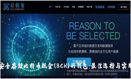 如何安全存储比特币现金(BCH)的钱包：最佳选择与实用技巧