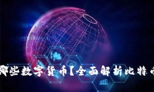 比特派钱包支持哪些数字货币？全面解析比特币以外的存储选项