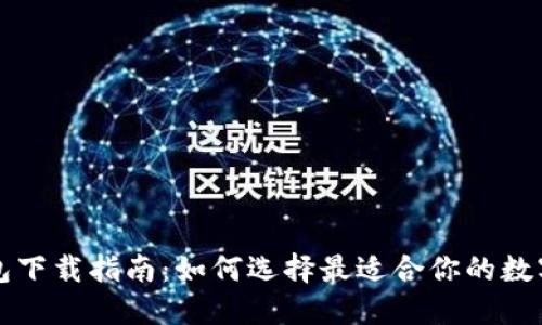 比特币钱包下载指南：如何选择最适合你的数字货币钱包