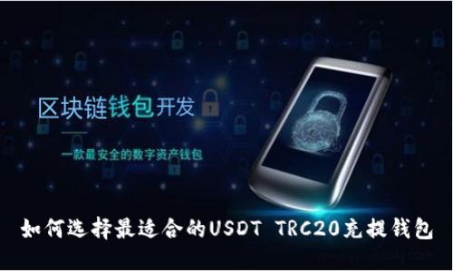 如何选择最适合的USDT TRC20充提钱包