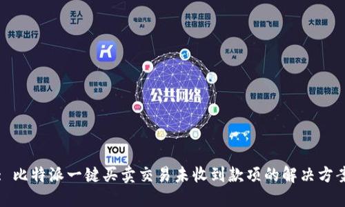 : 比特派一键买卖交易未收到款项的解决方案