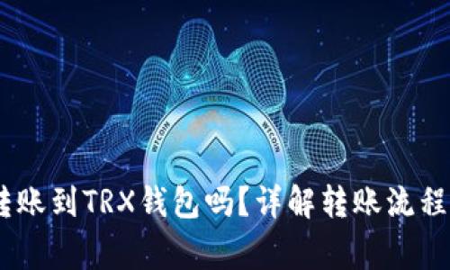 USDT可以转账到TRX钱包吗？详解转账流程与注意事项