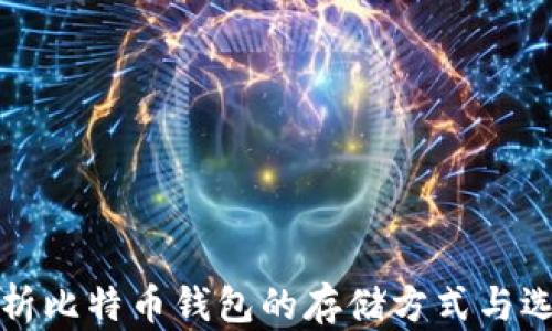 
全面解析比特币钱包的存储方式与选型指南