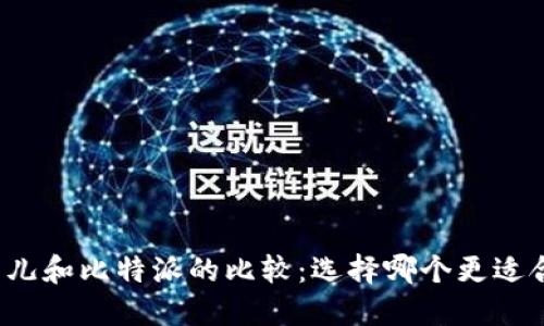 比特儿和比特派的比较：选择哪个更适合你？