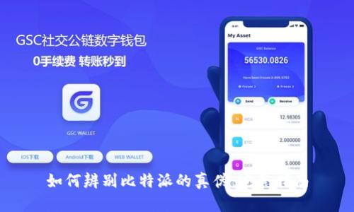 如何辨别比特派的真伪：完整指南