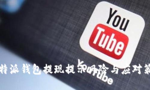 比特派钱包提现提示风险与应对策略
