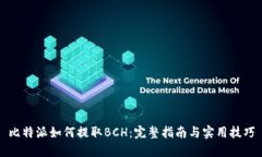 比特派如何提取BCH：完整
