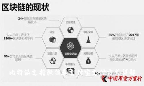 比特派支持微信和支付宝支付方式详解