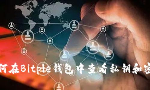 如何在Bitpie钱包中查看私钥和密码