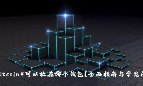 屎币（Shitcoin）可以放在哪个钱包？全面指南与常见问题解答