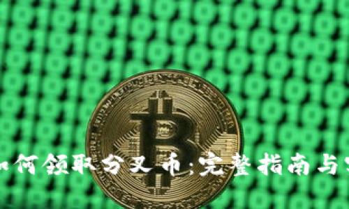 比特派如何领取分叉币：完整指南与实用策略