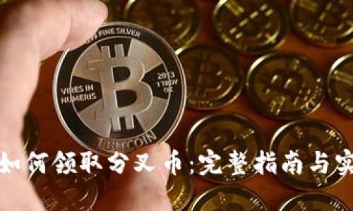 比特派如何领取分叉币：完整指南与实用策略