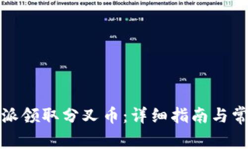 如何在比特派领取分叉币：详细指南与常见问题解答