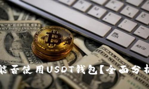土耳其能否使用USDT钱包？全面分析与解答
