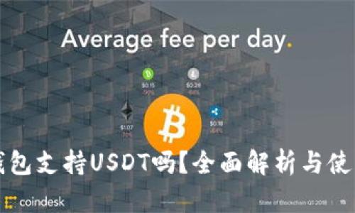 钱能钱包支持USDT吗？全面解析与使用指南