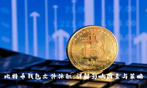 比特币钱包文件体积：详解影响因素与策略