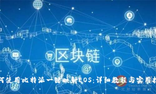 如何使用比特派一键映射EOS：详细教程与实用技巧