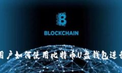 苹果电脑用户如何使用比特币U盘钱包进行安全存