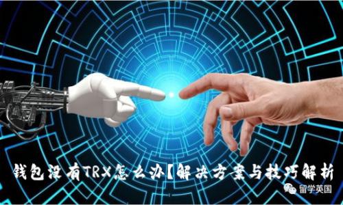 钱包没有TRX怎么办？解决方案与技巧解析