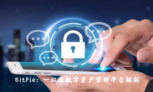 BitPie: 一站式数字资产管理平台解析