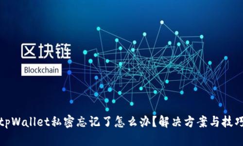 tpWallet私密忘记了怎么办？解决方案与技巧