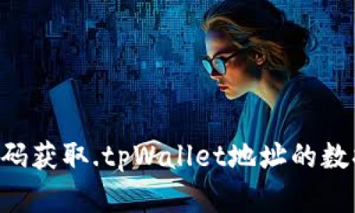 如何使用代码获取.tpWallet地址的数据：完整指南