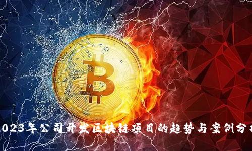 2023年公司开发区块链项目的趋势与案例分析