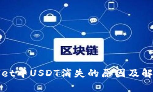 tpWallet中USDT消失的原因及解决方法