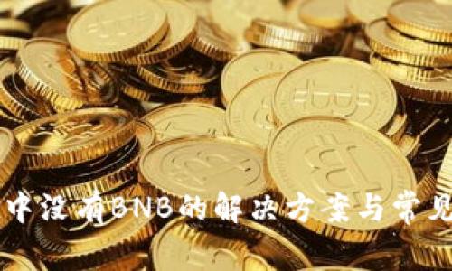 tpWallet中没有BNB的解决方案与常见问题分析