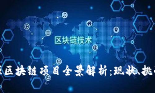 山东沂源区块链项目全景解析：现状、挑战与机遇